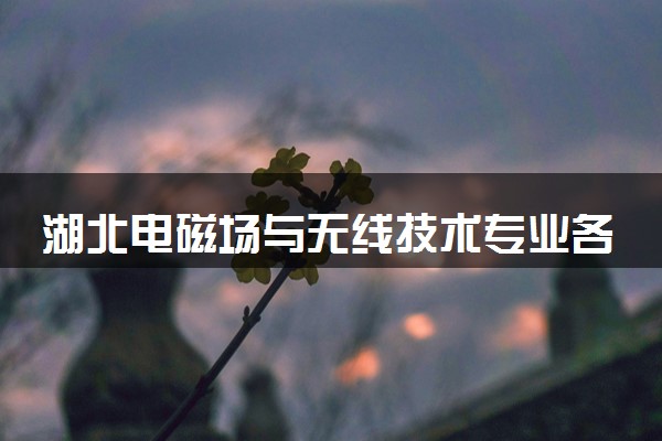 湖北电磁场与无线技术专业各大学录取分数线：最低612分能上 开设院校及位次