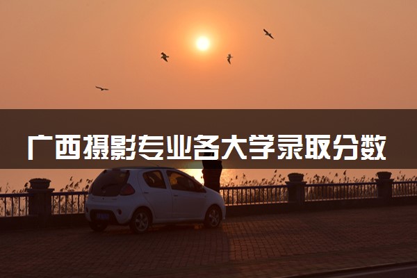 广西摄影专业各大学录取分数线：最低532分能上 开设院校及位次