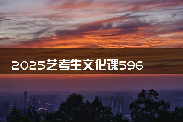 2025艺考生文化课596分能上哈尔滨工程大学吗