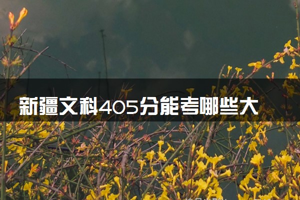 新疆文科405分能考哪些大学 2025考生稳上的大学名单
