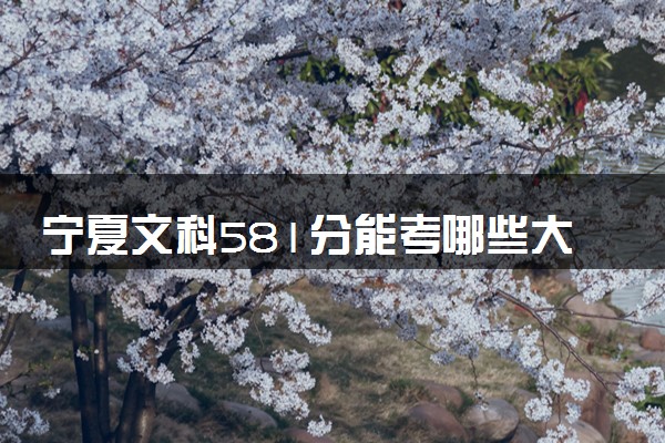 宁夏文科581分能考哪些大学 2025考生稳上的大学名单