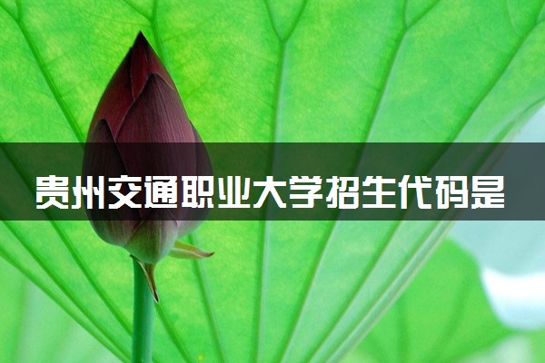 贵州交通职业大学招生代码是多少 附专业代码对照表（2025参考）