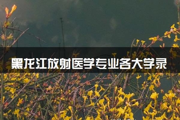 黑龙江放射医学专业各大学录取分数线：最低594分能上 开设院校及位次