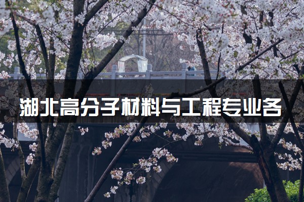 湖北高分子材料与工程专业各大学录取分数线：最低445分能上 开设院校及位次