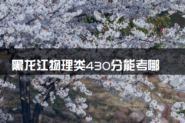 黑龙江物理类430分能考哪些大学 2025考生稳上的大学名单