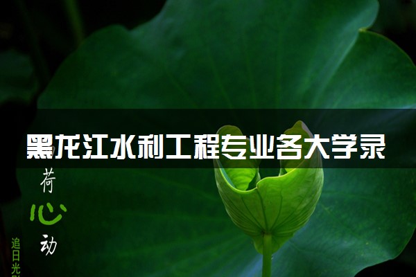 黑龙江水利工程专业各大学录取分数线：最低303分能上 开设院校及位次