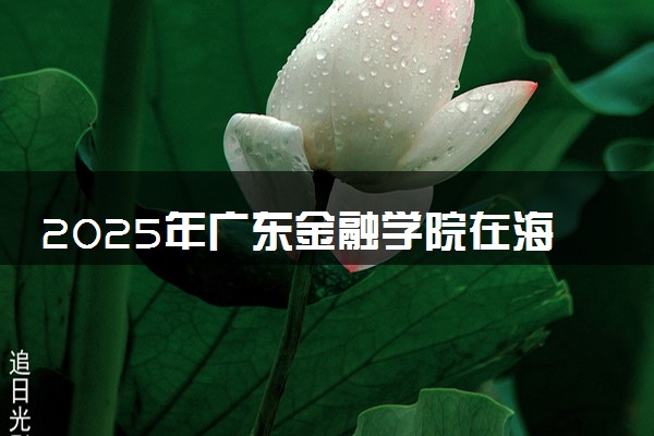 2025年广东金融学院在海南招生代码及专业代码 广东金融学院海南代码是多少？怎么查询？