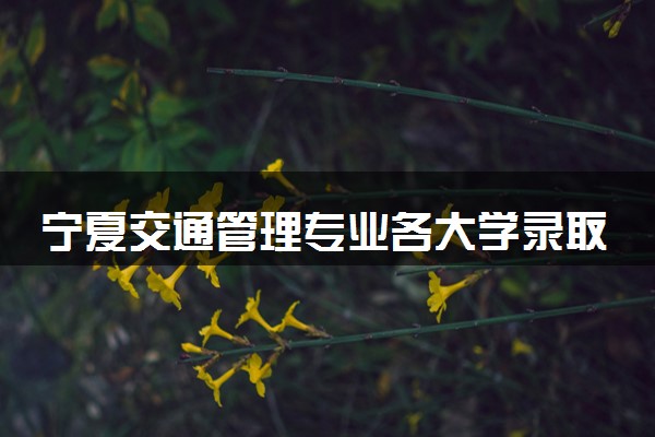 宁夏交通管理专业各大学录取分数线：最低439分能上 开设院校及位次