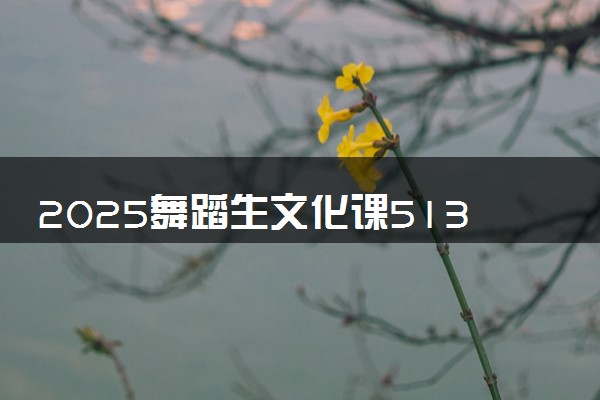 2025舞蹈生文化课513分能上上海外国语大学吗