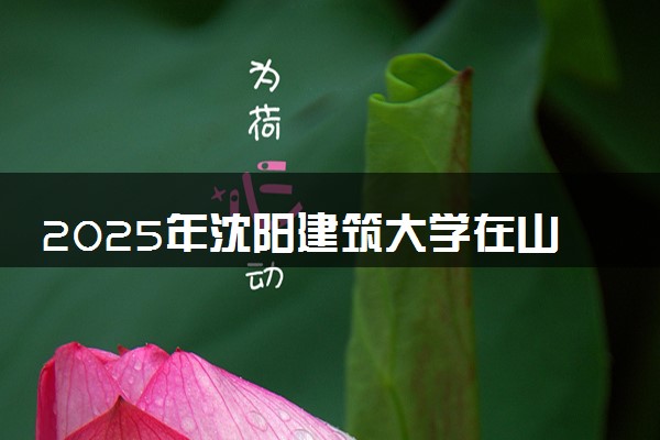 2025年沈阳建筑大学在山西招生代码及专业代码 沈阳建筑大学山西代码是多少？怎么查询？