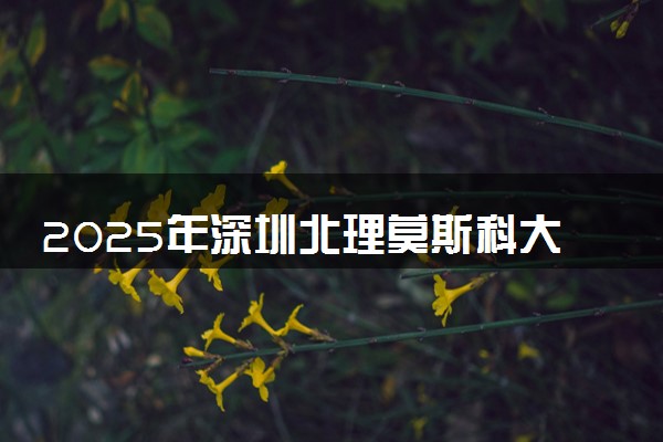 2025年深圳北理莫斯科大学在陕西招生代码及专业代码 深圳北理莫斯科大学陕西代码是多少？怎么查询？