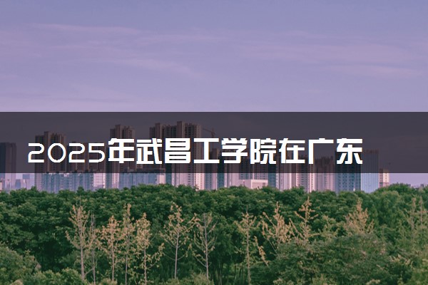 2025年武昌工学院在广东招生代码：13241 专业代码及报考指南