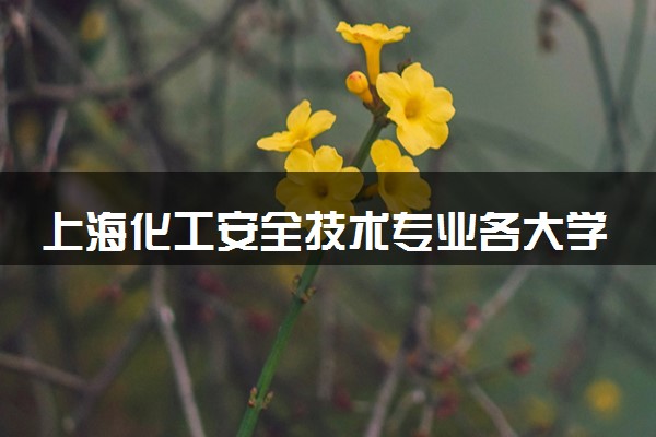 上海化工安全技术专业各大学录取分数线：最低153分能上 开设院校及位次