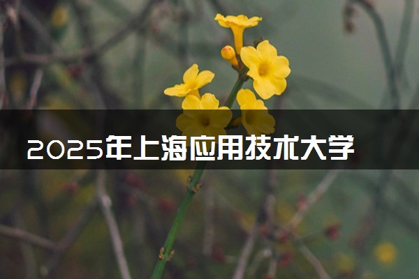 2025年上海应用技术大学在江西招生代码：2284 专业代码及报考指南