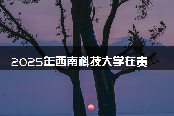 2025年西南科技大学在贵州招生代码：2518 专业代码及报考指南