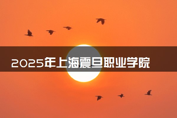 2025年上海震旦职业学院在山西招生代码及专业代码 上海震旦职业学院山西代码是多少？怎么查询？