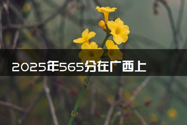2025年565分在广西上什么大学好 近三年录取分数线是多少