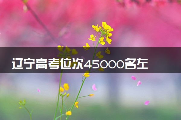 辽宁高考位次45000名左右报什么大学好（2025年参考）