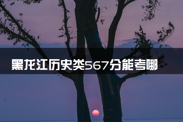 黑龙江历史类567分能考哪些大学 2025考生稳上的大学名单