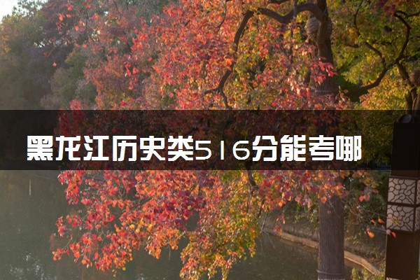 黑龙江历史类516分能考哪些大学 2025考生稳上的大学名单