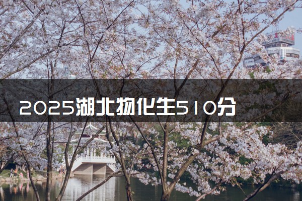 2025湖北物化生510分左右能上什么大学 可以报考的院校名单