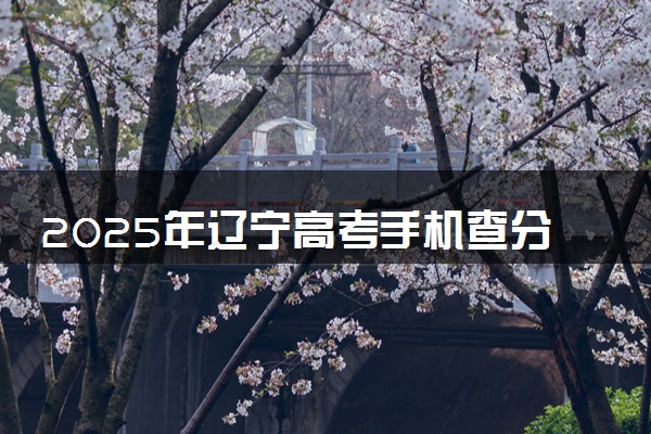 2025年辽宁高考手机查分系统入口 附成绩查询时间及方法
