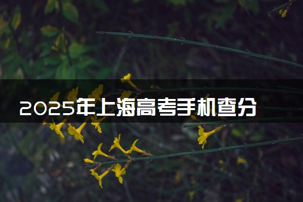 2025年上海高考手机查分系统入口 附成绩查询时间及方法