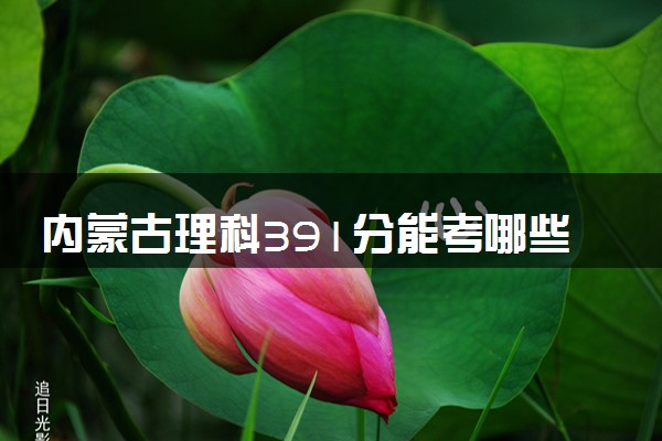 内蒙古理科391分能考哪些大学 2025考生稳上的大学名单