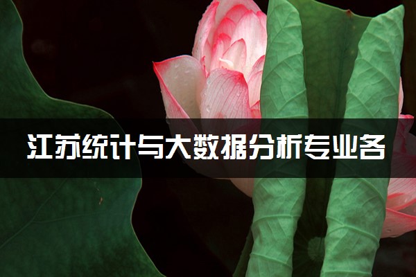 江苏统计与大数据分析专业各大学录取分数线：最低303分能上 开设院校及位次
