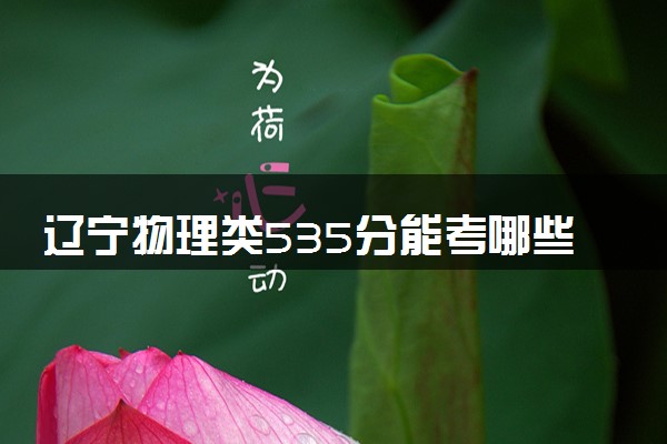 辽宁物理类535分能考哪些大学 2025考生稳上的大学名单