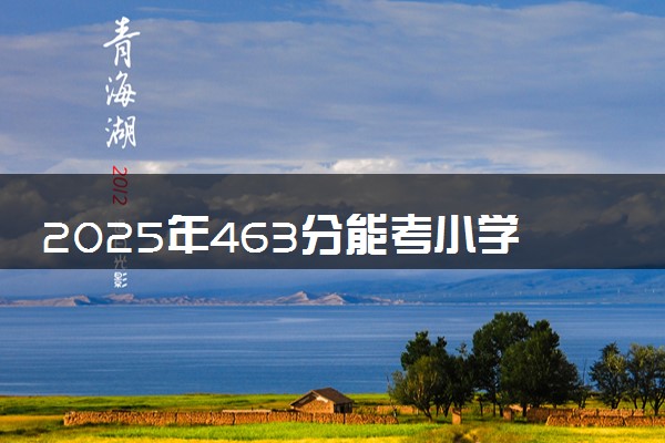 2025年463分能考小学教育专业吗 463分小学教育专业大学推荐
