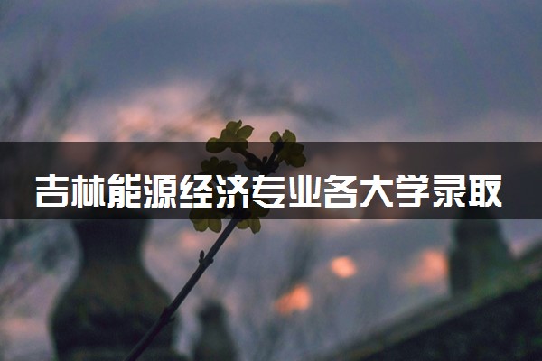 吉林能源经济专业各大学录取分数线：最低461分能上 开设院校及位次