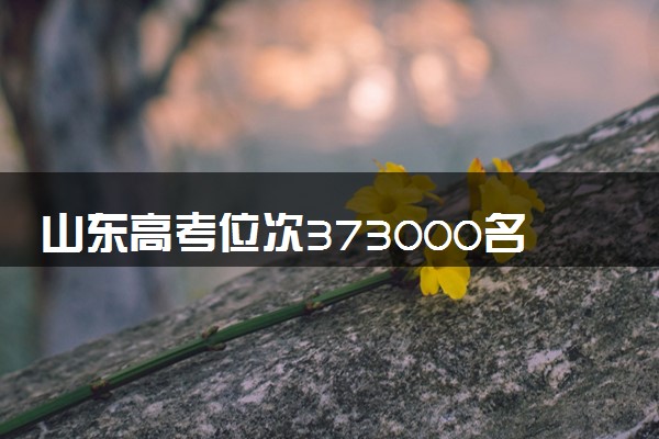 山东高考位次373000名左右报什么大学好（2025年参考）
