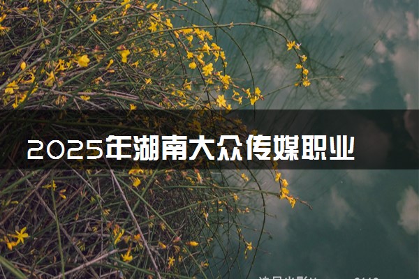 2025年湖南大众传媒职业技术学院在天津招生代码：0546 专业代码及报考指南