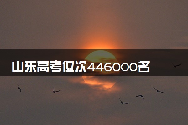 山东高考位次446000名左右报什么大学好（2025年参考）