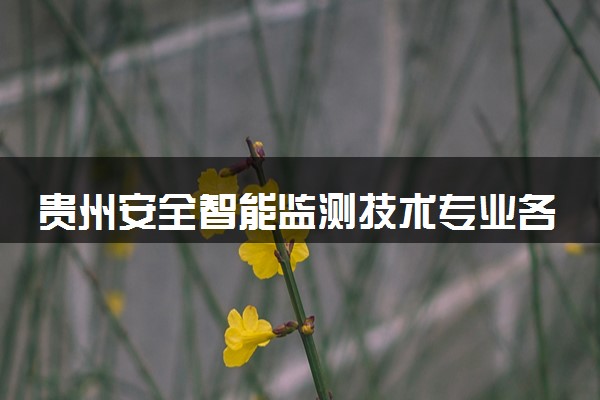 贵州安全智能监测技术专业各大学录取分数线：最低189分能上 开设院校及位次