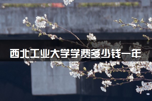 西北工业大学学费多少钱一年 各专业收费标准（2025年参考）