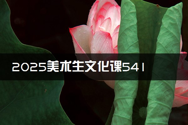 2025美术生文化课541分能上内蒙古工业大学吗