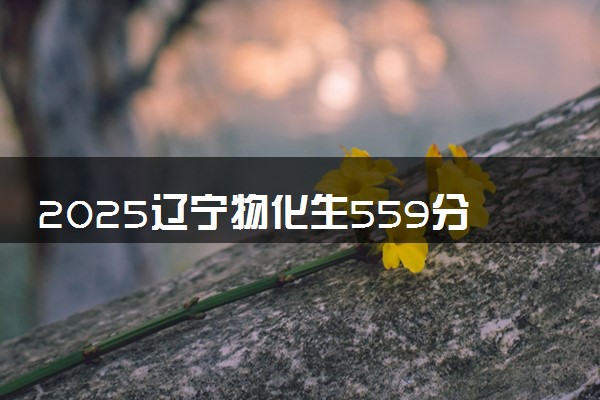 2025辽宁物化生559分左右能上什么大学 可以报考的院校名单
