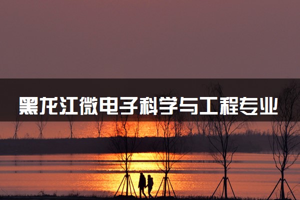 黑龙江微电子科学与工程专业各大学录取分数线：最低391分能上 开设院校及位次