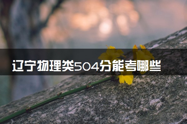 辽宁物理类504分能考哪些大学 2025考生稳上的大学名单