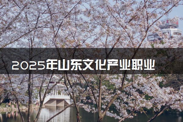2025年山东文化产业职业学院在黑龙江招生代码及专业代码 山东文化产业职业学院黑龙江代码是多少？怎么查询？
