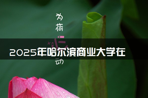 2025年哈尔滨商业大学在贵州招生代码及专业代码 哈尔滨商业大学贵州代码是多少？怎么查询？