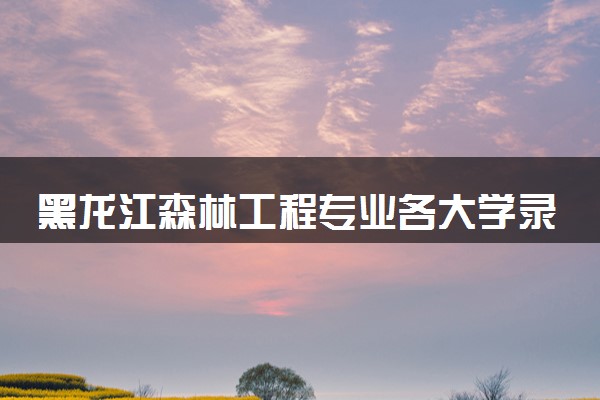 黑龙江森林工程专业各大学录取分数线：最低444分能上 开设院校及位次