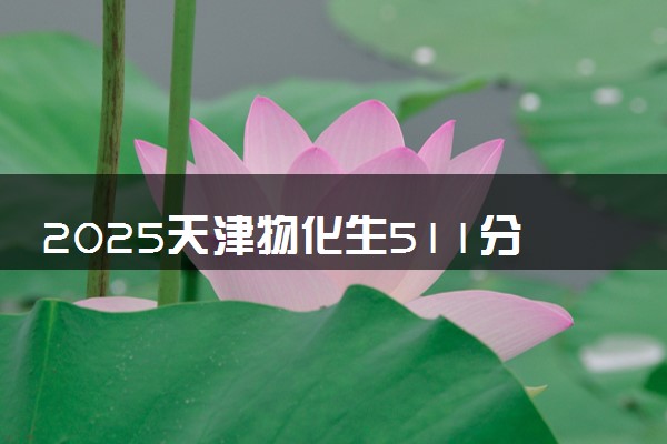 2025天津物化生511分左右能上什么大学 可以报考的院校名单