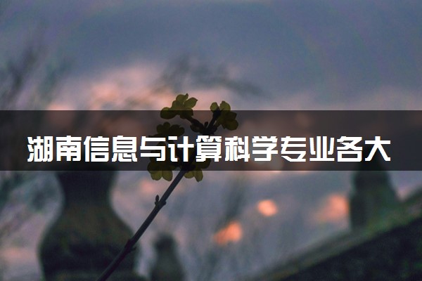 湖南信息与计算科学专业各大学录取分数线：最低430分能上 开设院校及位次