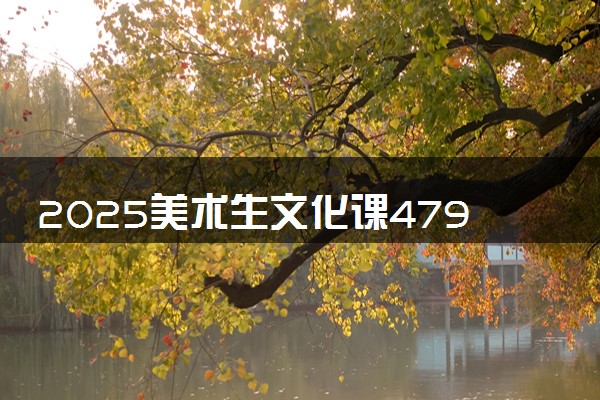 2025美术生文化课479分能上武汉东湖学院吗