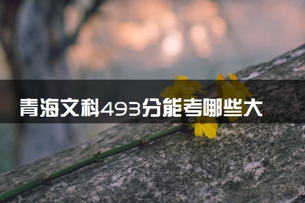 青海文科493分能考哪些大学 2025考生稳上的大学名单