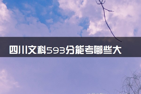四川文科593分能考哪些大学 2025考生稳上的大学名单