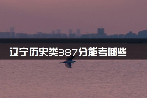 辽宁历史类387分能考哪些大学 2025考生稳上的大学名单